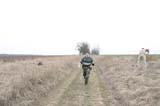 mme k�ka cserje�ltet�s 9